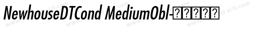 NewhouseDTCond MediumObl字体转换